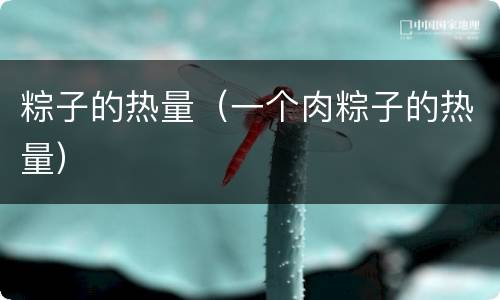 粽子的热量（一个肉粽子的热量）