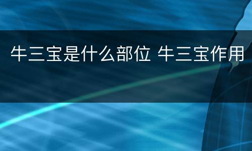 牛三宝是什么部位 牛三宝作用