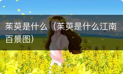 茱萸是什么（茱萸是什么江南百景图）