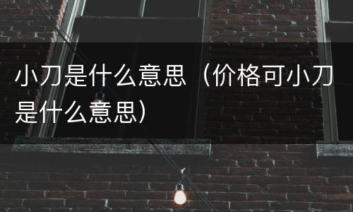 小刀是什么意思（价格可小刀是什么意思）
