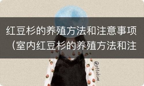 红豆杉的养殖方法和注意事项（室内红豆杉的养殖方法和注意事项）