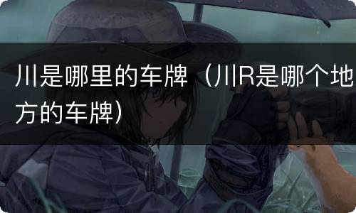 川是哪里的车牌（川R是哪个地方的车牌）