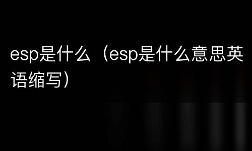 esp是什么（esp是什么意思英语缩写）