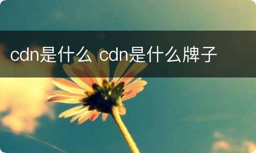 cdn是什么 cdn是什么牌子