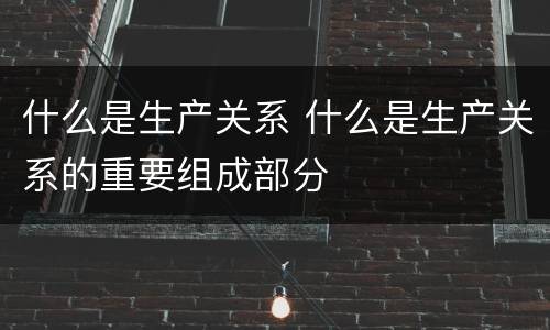 什么是生产关系 什么是生产关系的重要组成部分