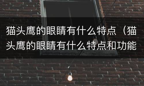 猫头鹰的眼睛有什么特点（猫头鹰的眼睛有什么特点和功能）