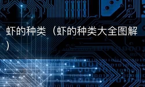 虾的种类（虾的种类大全图解）