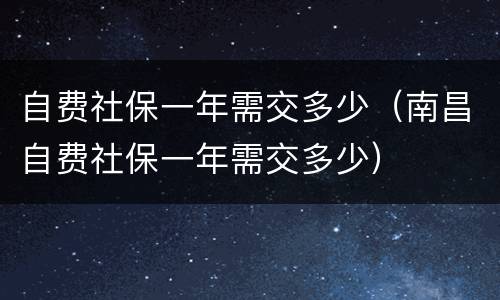 自费社保一年需交多少（南昌自费社保一年需交多少）