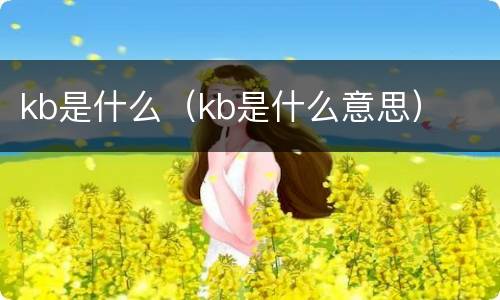 kb是什么（kb是什么意思）