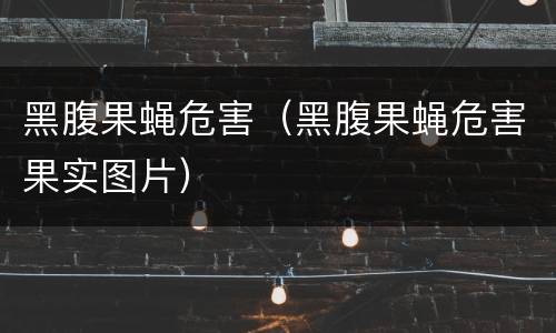 黑腹果蝇危害（黑腹果蝇危害果实图片）