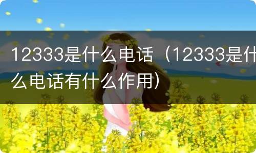 12333是什么电话（12333是什么电话有什么作用）