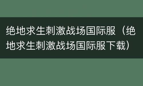 绝地求生刺激战场国际服（绝地求生刺激战场国际服下载）