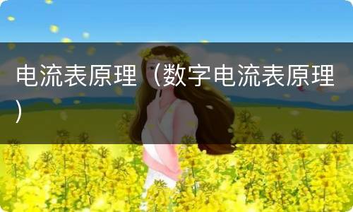 电流表原理（数字电流表原理）