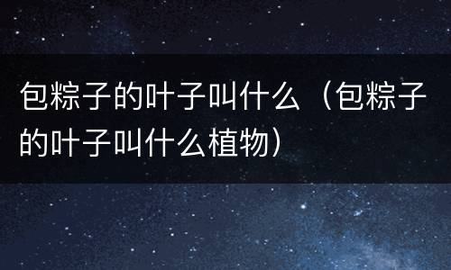 包粽子的叶子叫什么（包粽子的叶子叫什么植物）