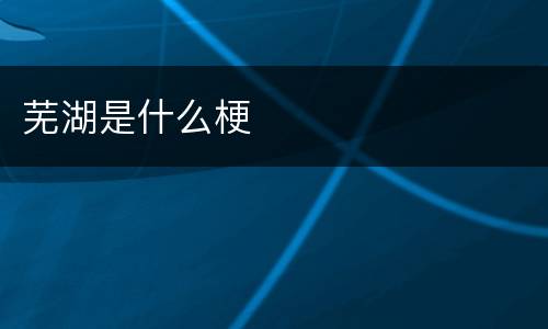 芜湖是什么梗