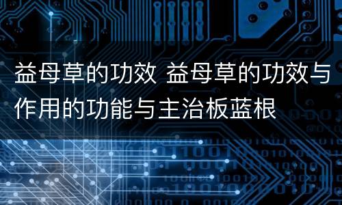 益母草的功效 益母草的功效与作用的功能与主治板蓝根