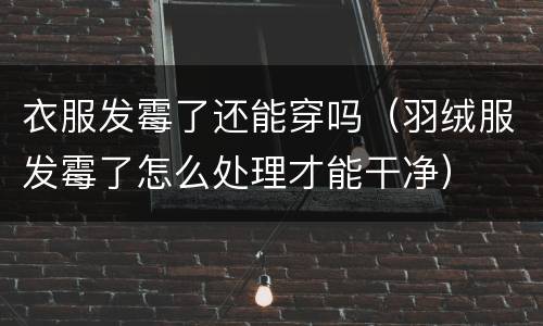 衣服发霉了还能穿吗（羽绒服发霉了怎么处理才能干净）