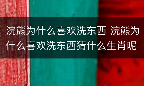 浣熊为什么喜欢洗东西 浣熊为什么喜欢洗东西猜什么生肖呢