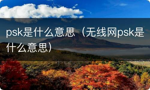 psk是什么意思（无线网psk是什么意思）
