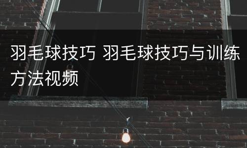 羽毛球技巧 羽毛球技巧与训练方法视频