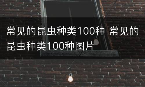 常见的昆虫种类100种 常见的昆虫种类100种图片