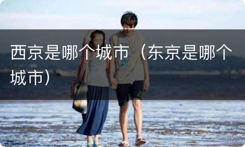 西京是哪个城市（东京是哪个城市）