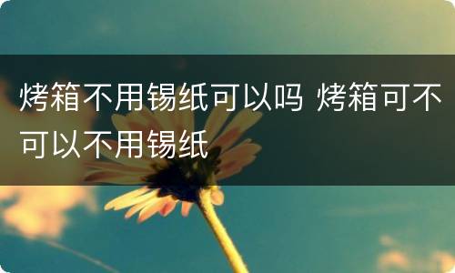 烤箱不用锡纸可以吗 烤箱可不可以不用锡纸