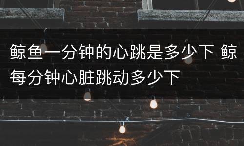 鲸鱼一分钟的心跳是多少下 鲸每分钟心脏跳动多少下