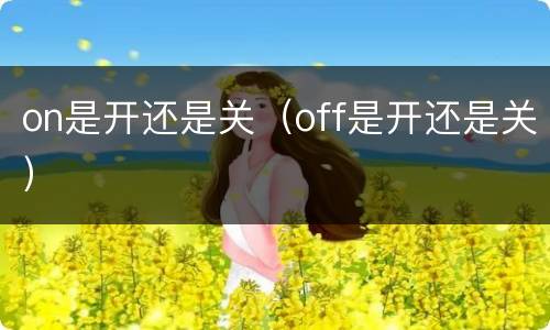 on是开还是关（off是开还是关）