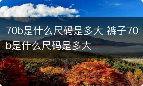 70b是什么尺码是多大 裤子70b是什么尺码是多大