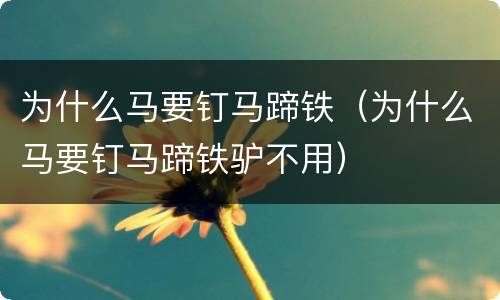 为什么马要钉马蹄铁（为什么马要钉马蹄铁驴不用）