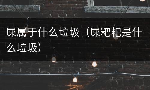 屎属于什么垃圾（屎粑粑是什么垃圾）