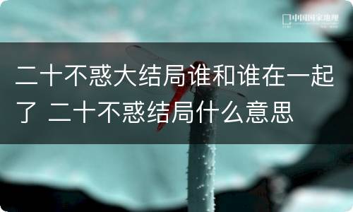 二十不惑大结局谁和谁在一起了 二十不惑结局什么意思