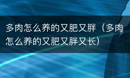 多肉怎么养的又肥又胖（多肉怎么养的又肥又胖又长）