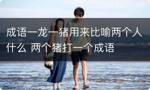 成语一龙一猪用来比喻两个人什么 两个猪打一个成语