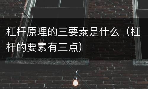 杠杆原理的三要素是什么（杠杆的要素有三点）