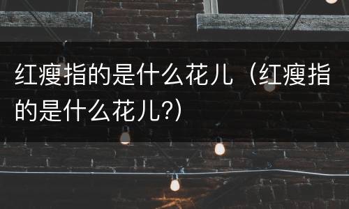红瘦指的是什么花儿（红瘦指的是什么花儿?）