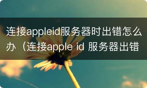 连接appleid服务器时出错怎么办（连接apple id 服务器出错怎么办）