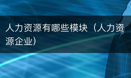 人力资源有哪些模块（人力资源企业）