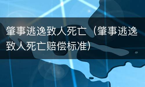 肇事逃逸致人死亡（肇事逃逸致人死亡赔偿标准）