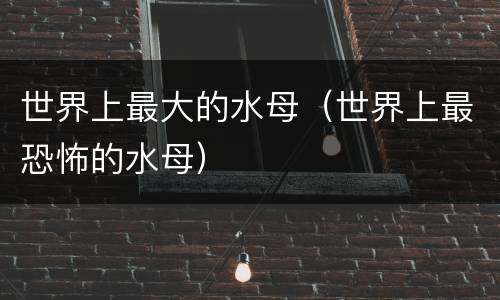 世界上最大的水母（世界上最恐怖的水母）