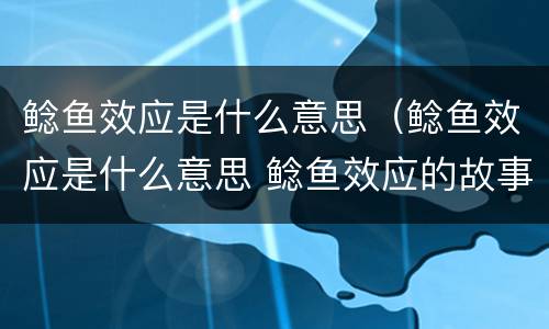 鲶鱼效应是什么意思（鲶鱼效应是什么意思 鲶鱼效应的故事）