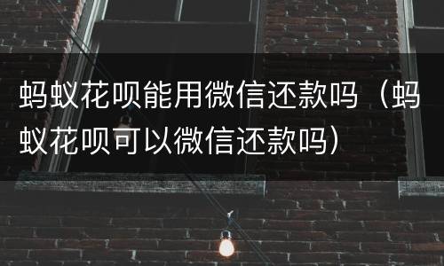 蚂蚁花呗能用微信还款吗（蚂蚁花呗可以微信还款吗）