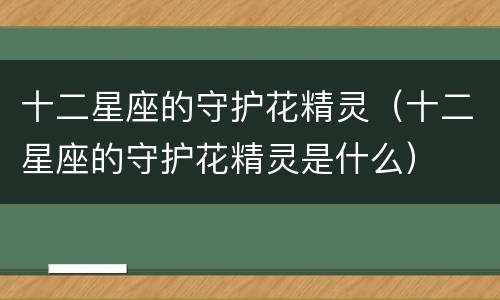 十二星座的守护花精灵（十二星座的守护花精灵是什么）
