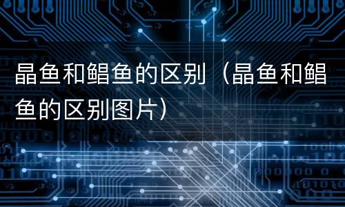 晶鱼和鲳鱼的区别（晶鱼和鲳鱼的区别图片）