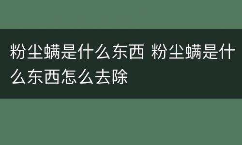 粉尘螨是什么东西 粉尘螨是什么东西怎么去除