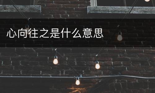 心向往之是什么意思