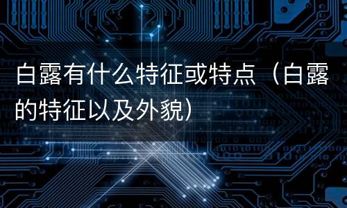 白露有什么特征或特点（白露的特征以及外貌）