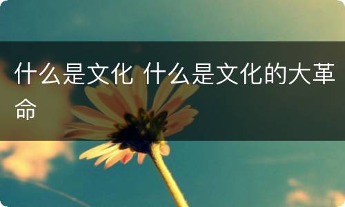 什么是文化 什么是文化的大革命