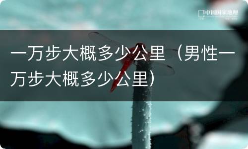 一万步大概多少公里（男性一万步大概多少公里）